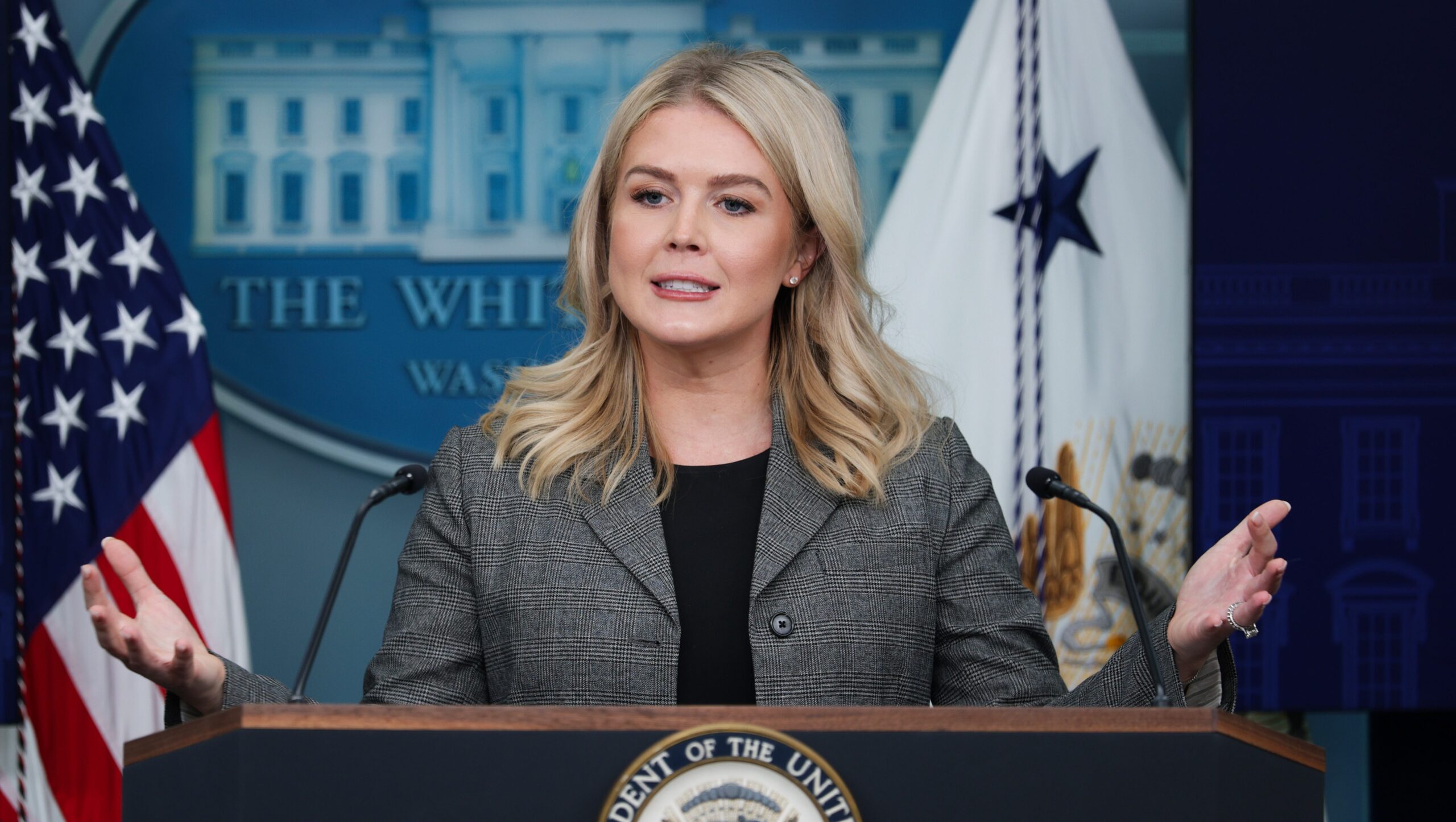 Who Is Bruna Ferreira? All About the Mother of Karoline Leavitt’s Nephew Arrested by ICE