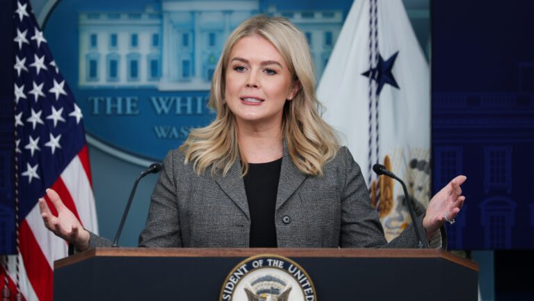 Karoline Leavitt’s Nephew’s Mother Detained by ICE: What We Know About Her Family Member