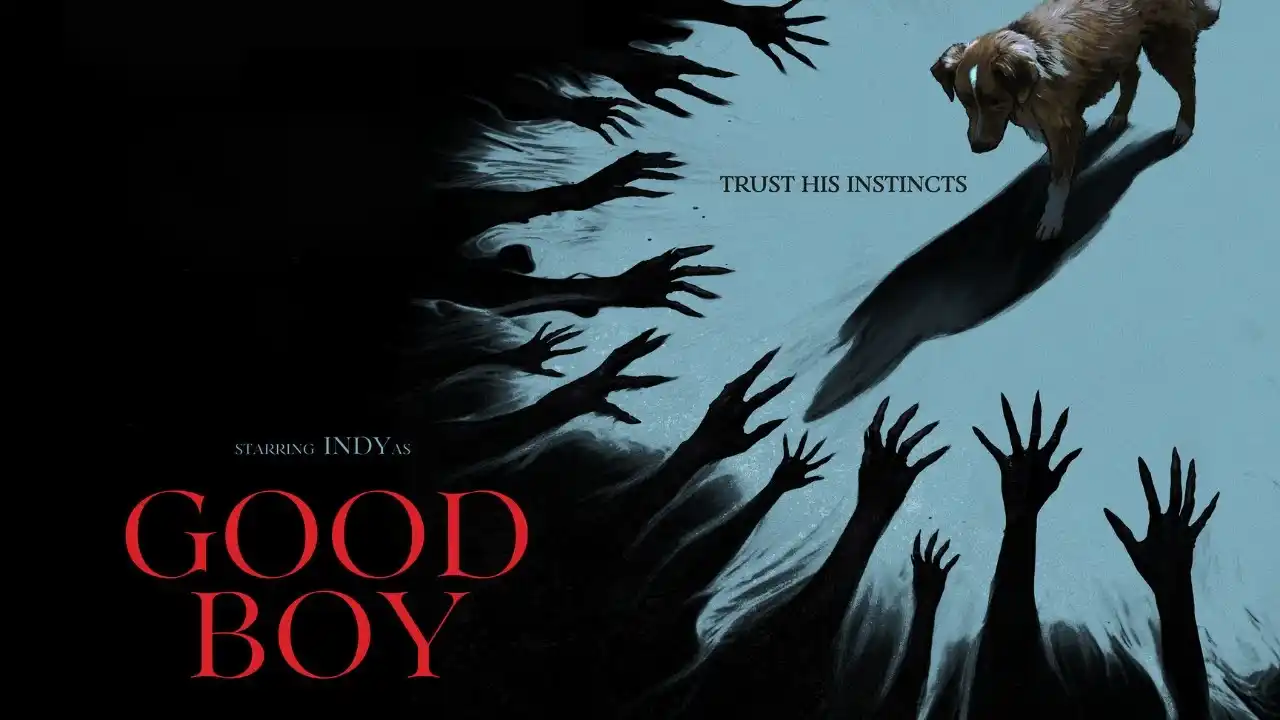 Good Boy on OTT: Unique English horror film arrives on Prime Video with a twist