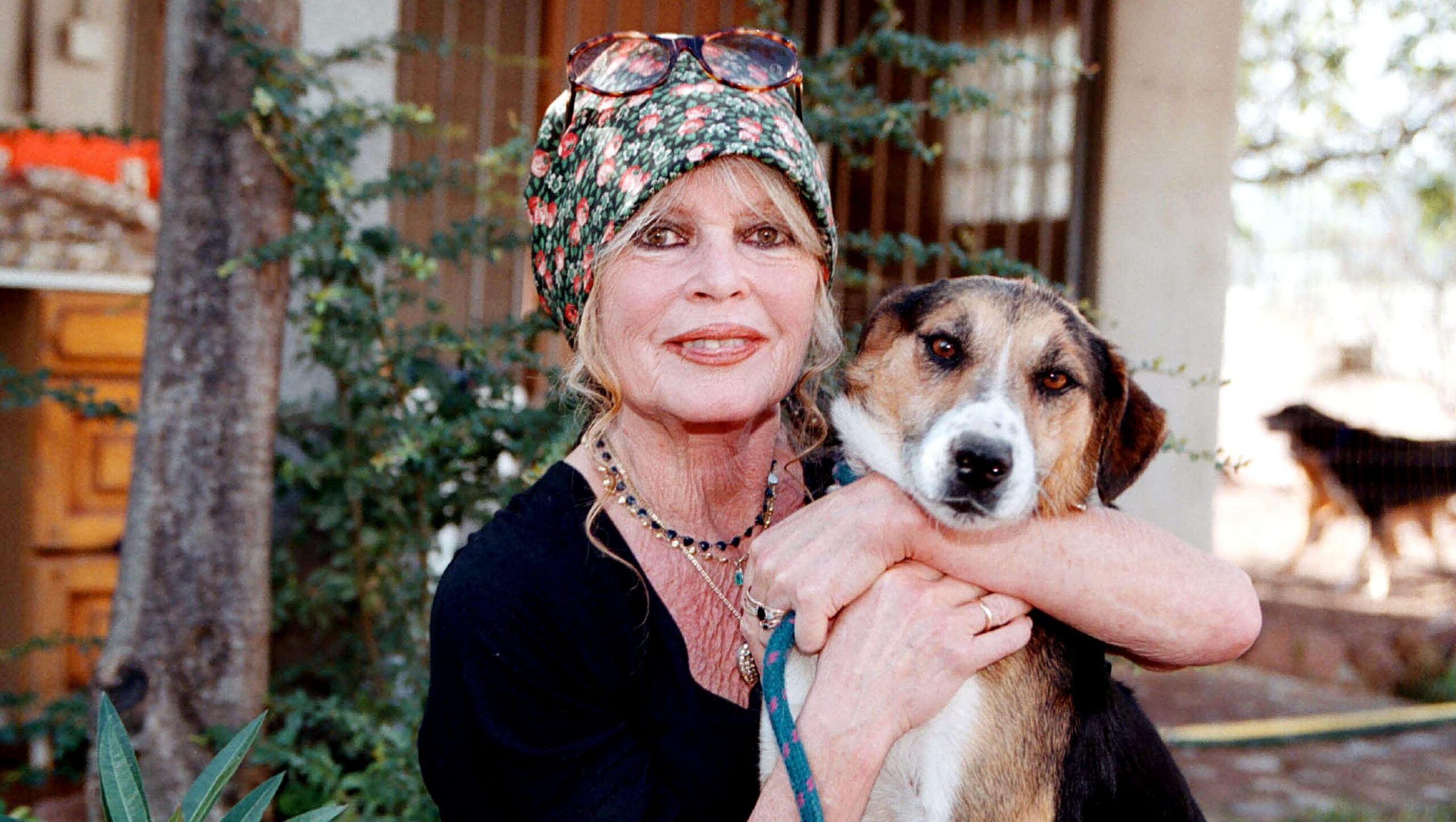 Who Was Brigitte Bardot? 5 Things to Know About the Movie Star Who Died