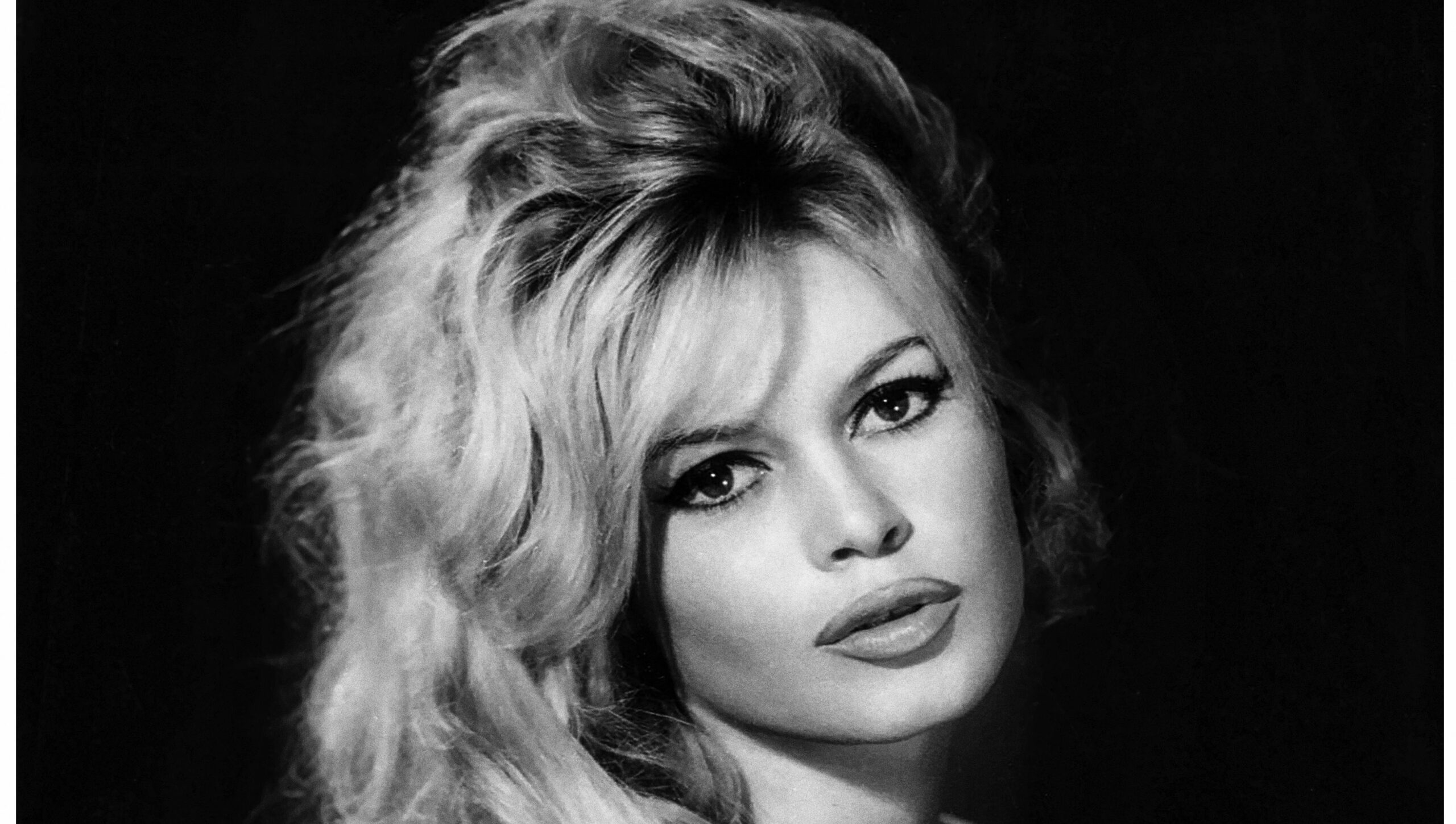 Brigitte Bardot Net Worth: How Much Money the Actress Made in Her Life