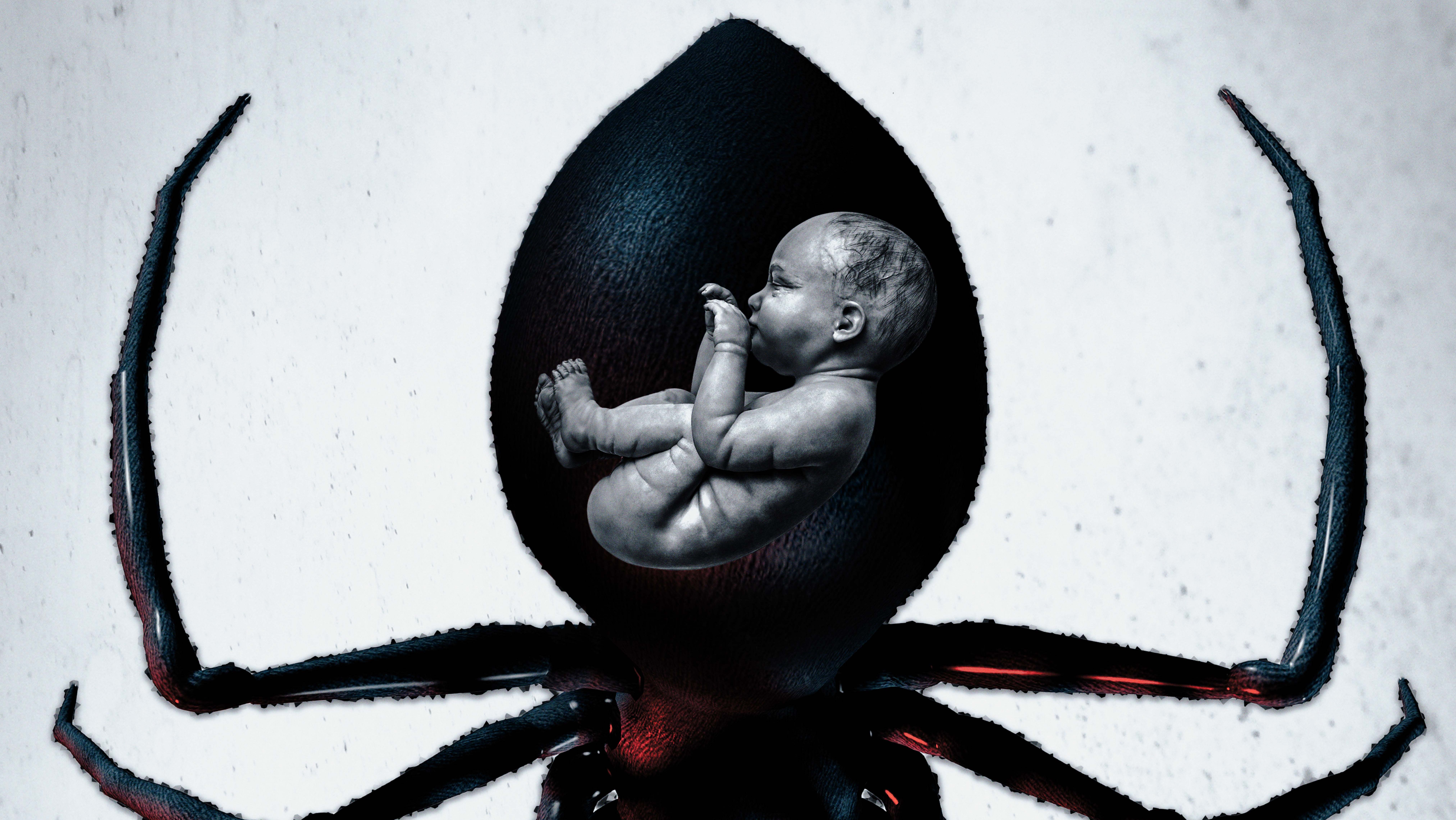 Jackie Earle Haley, Lou Diamond Phillips to Star in Indie Thriller ‘Widow’ (Exclusive) Jackie Earle Haley, Lou Diamond Phillips to Star in Indie Thriller ‘Widow’ (Exclusive)