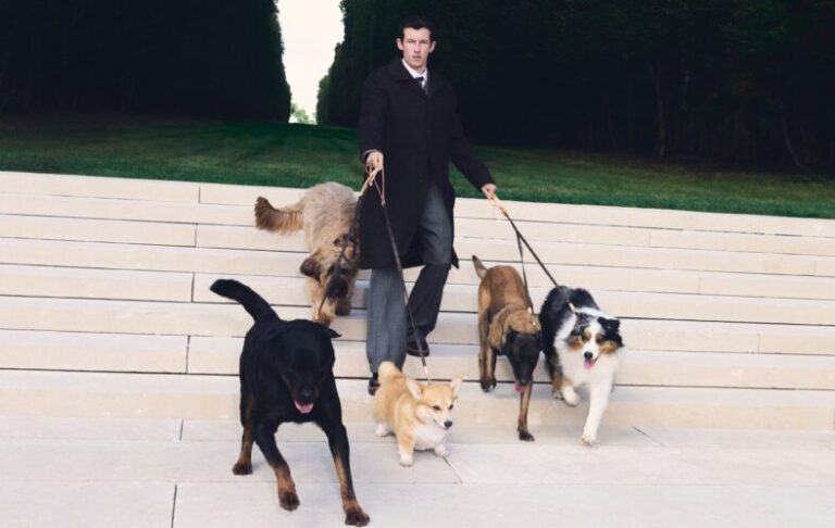 Louis Vuitton Unleashes Dog Collection For Pampered Pups