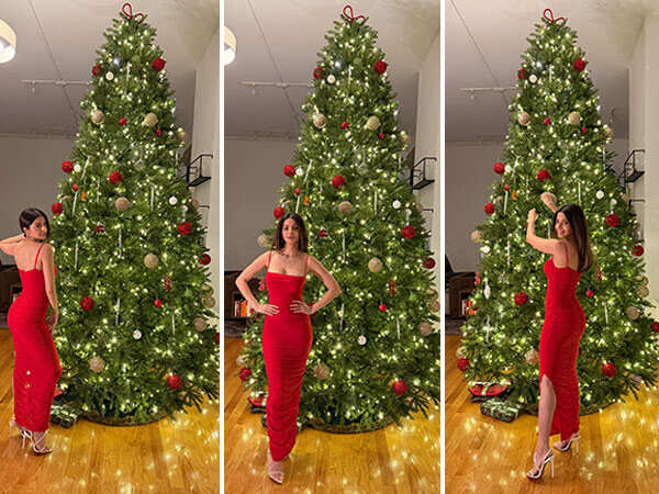 Vedhika celebrates Christmas in New York