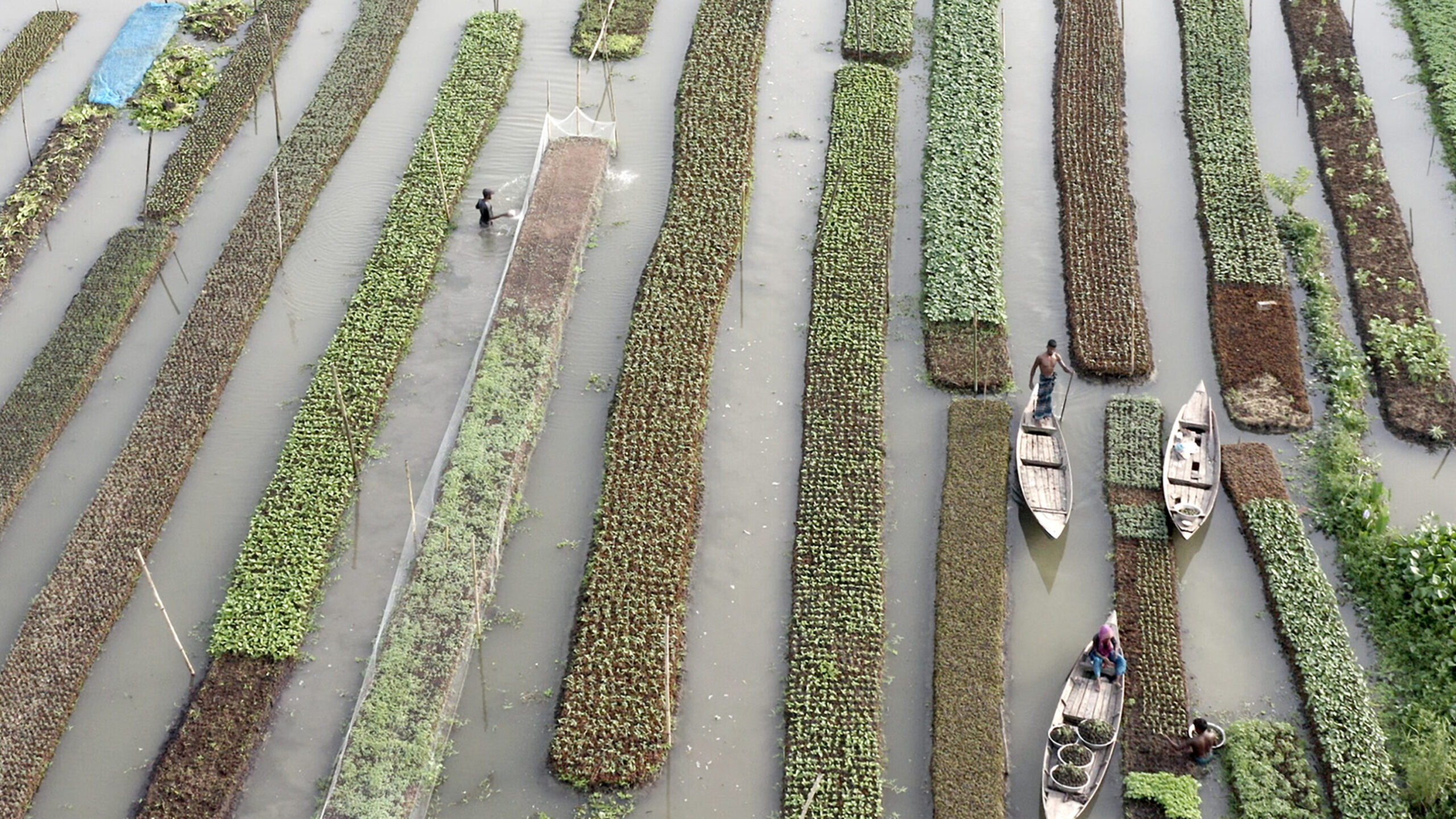 ‘Elements of(f) Balance’ Doc Maker Scouted Earth to Showcase Humans Working as Parts of Nature to Counter “Collective Human Narcissism”