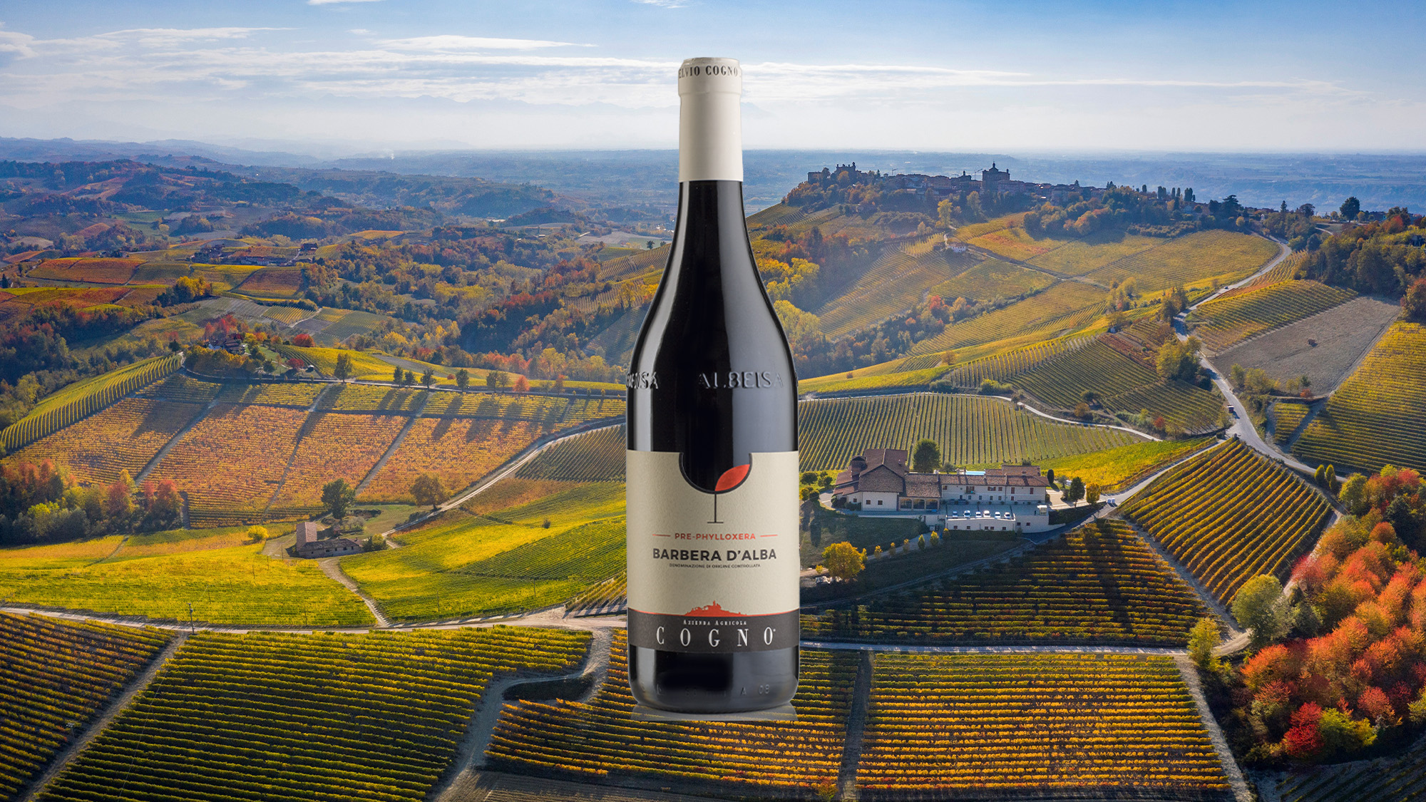 Wine Of The Week: Elvio Cogno Pre-Phylloxera Barbera 2023