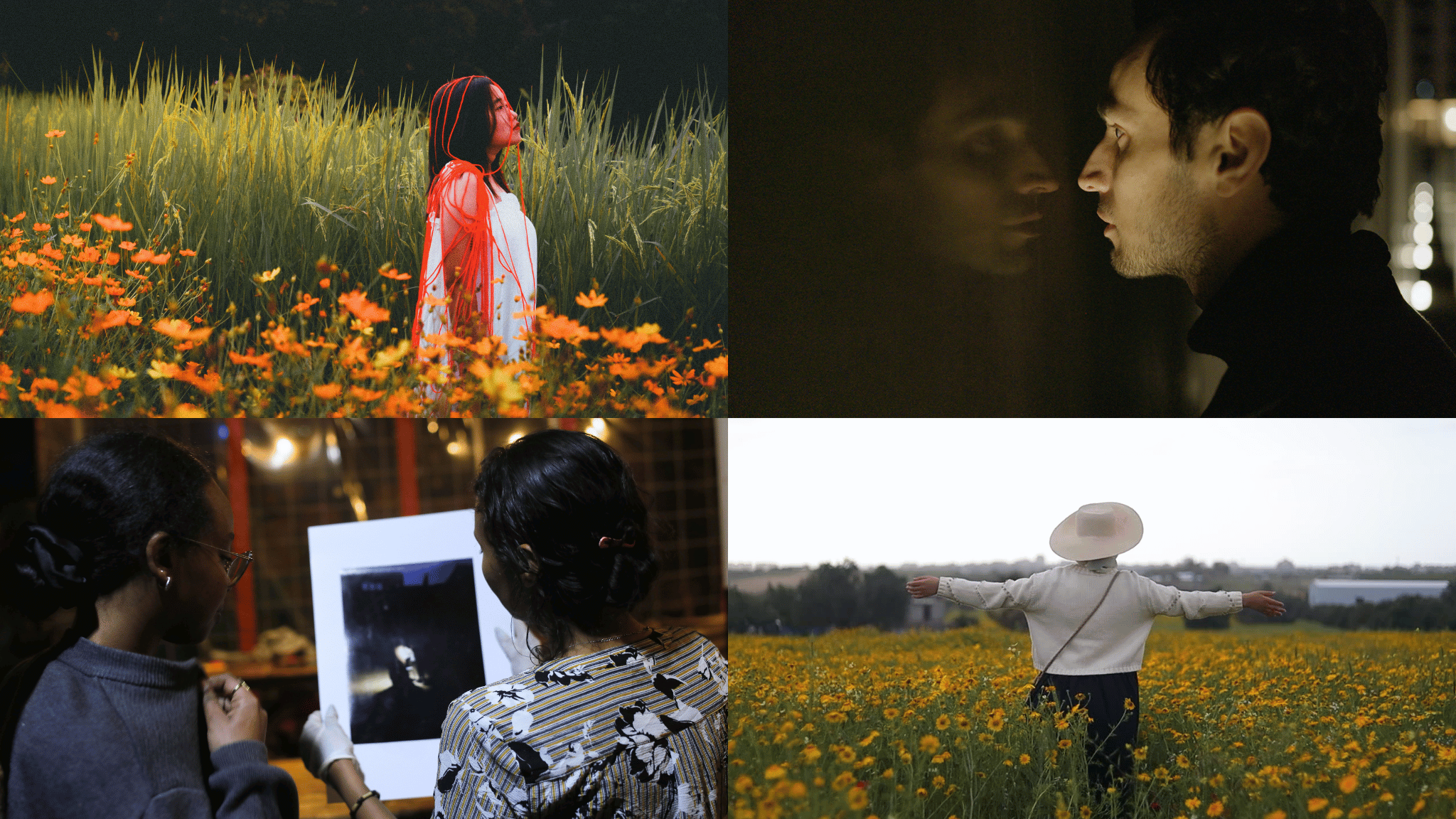 Rotterdam Positions Itself as a Safe Haven for Indie Cinema