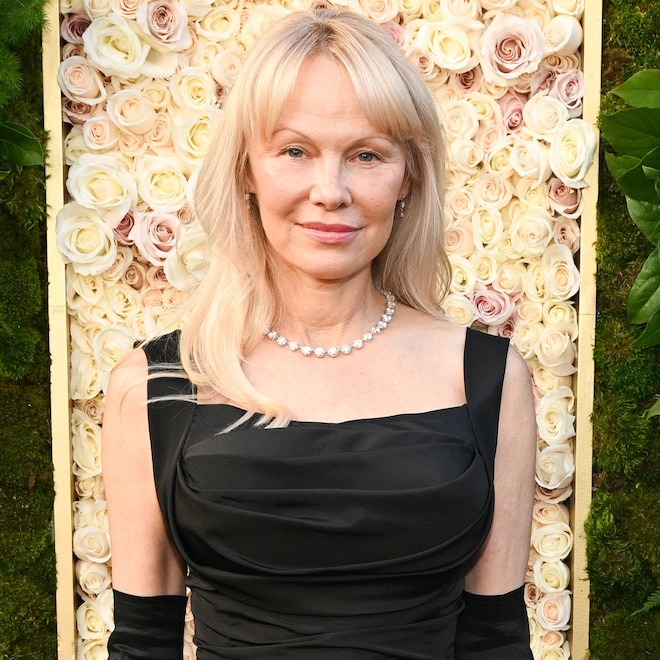 Why Pamela Anderson Avoided Seth Rogen at Golden Globes