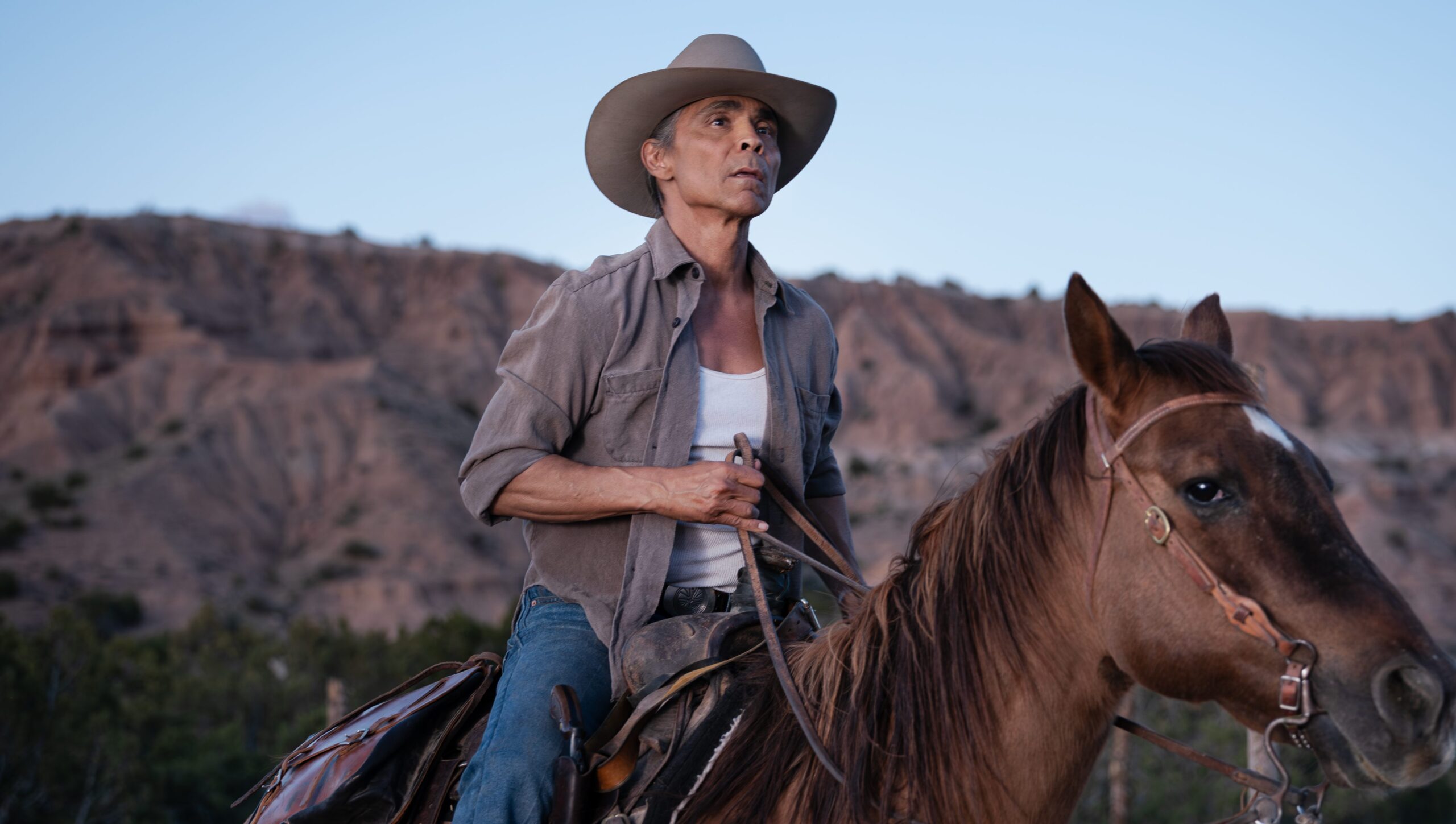 ‘Dark Winds’ Season 5: Will There Be Another After Season 4?