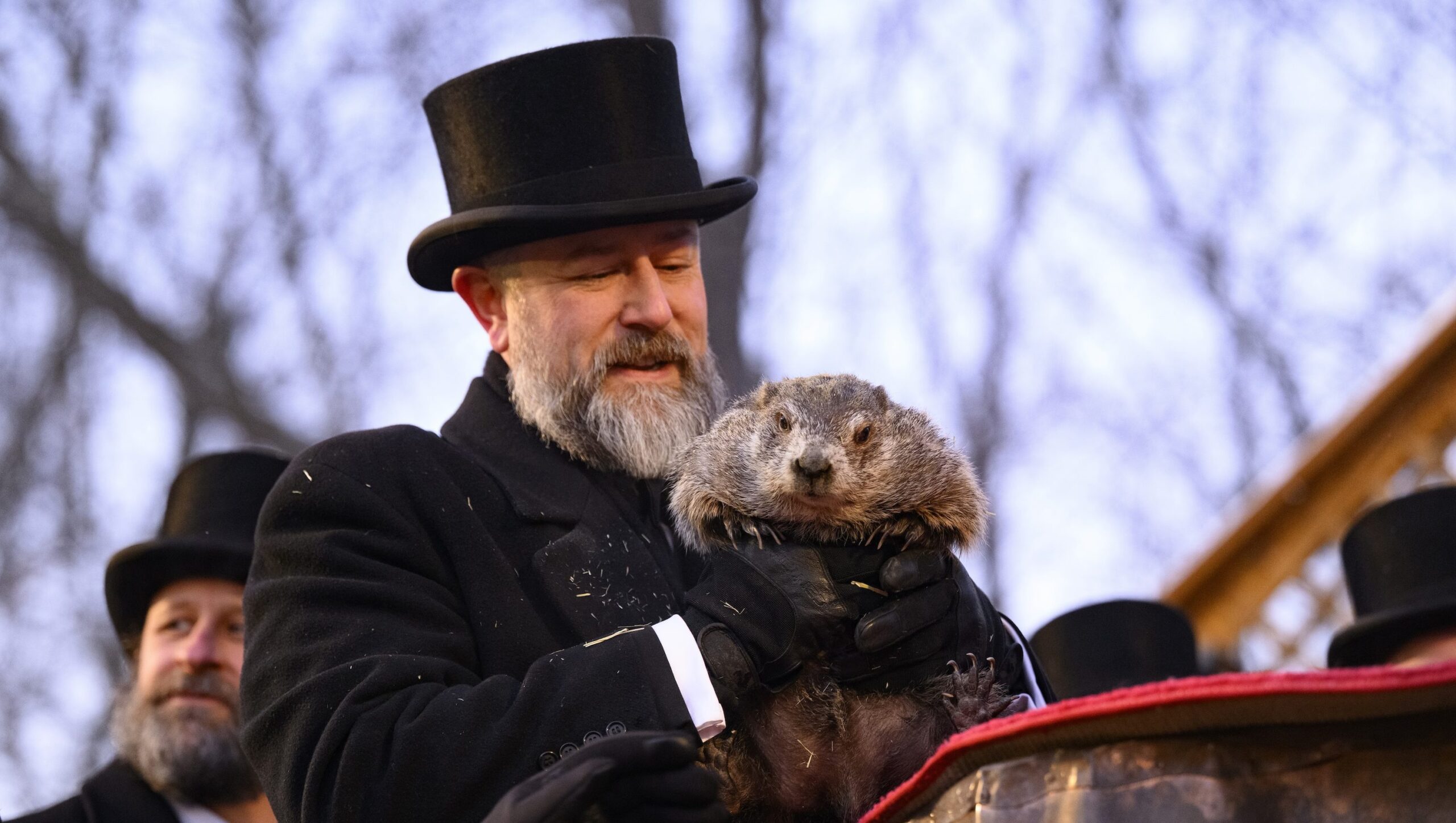 Did Punxsutawney Phil See His Shadow for 2026? Winter Update