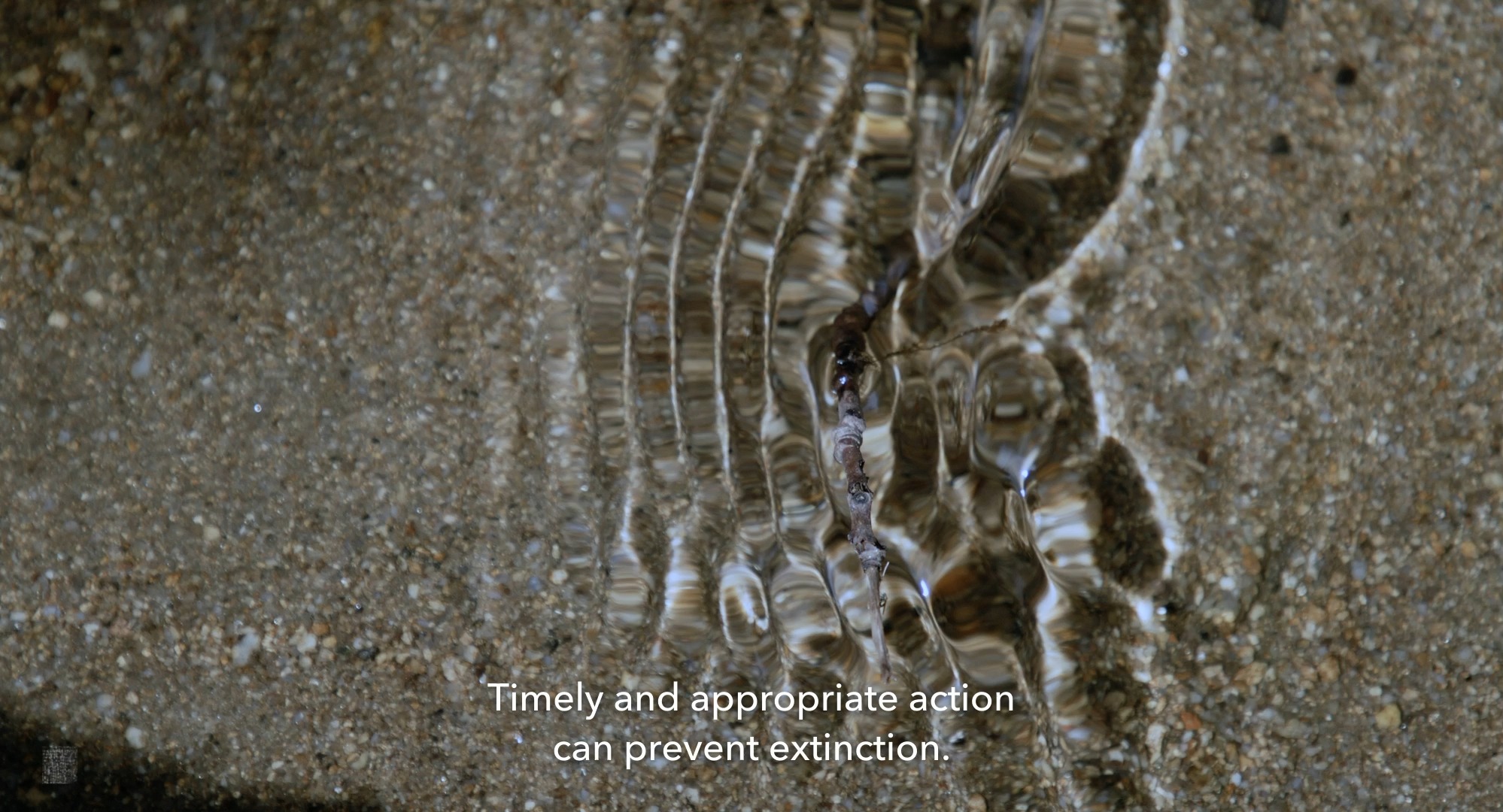 Sci-Fi Doc ‘Hungry’ Promises an “Immersive” Exploration of How to Avoid “Extinction Events” (Exclusive Rotterdam Clip)