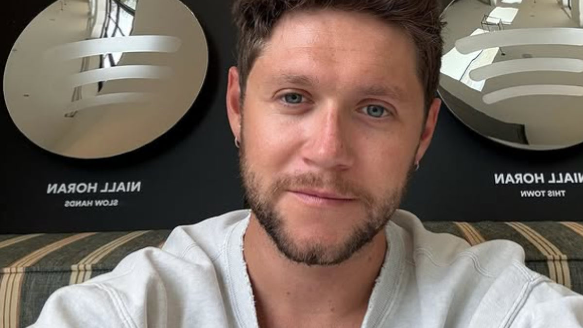 Niall Horan Surprises Brooklyn Dinner Guests With Wine and Possible New Lyrics Tease