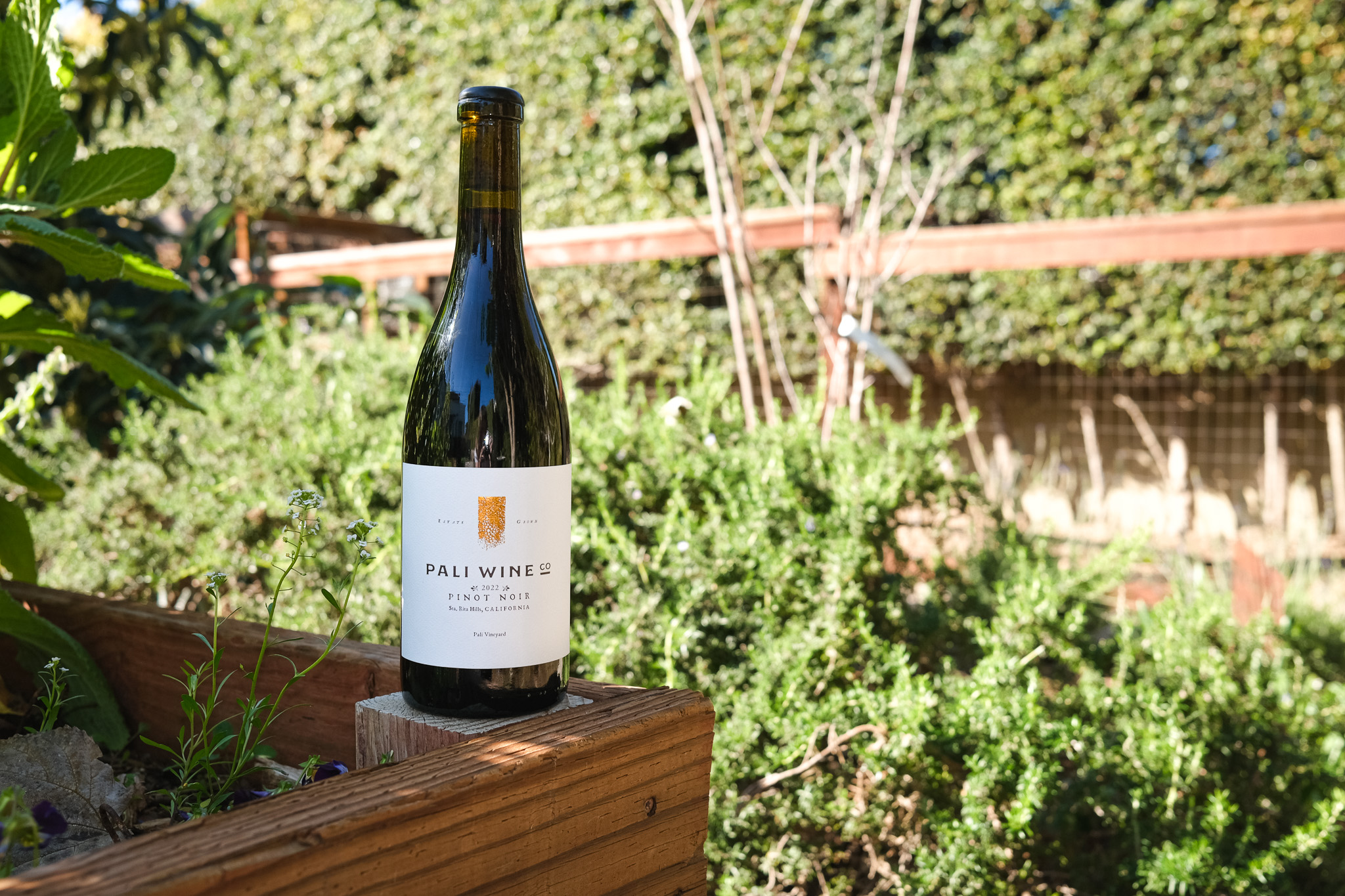 Wine Of The Week: Pali Wine Co Pinot Noir, Pali Vineyard 2022