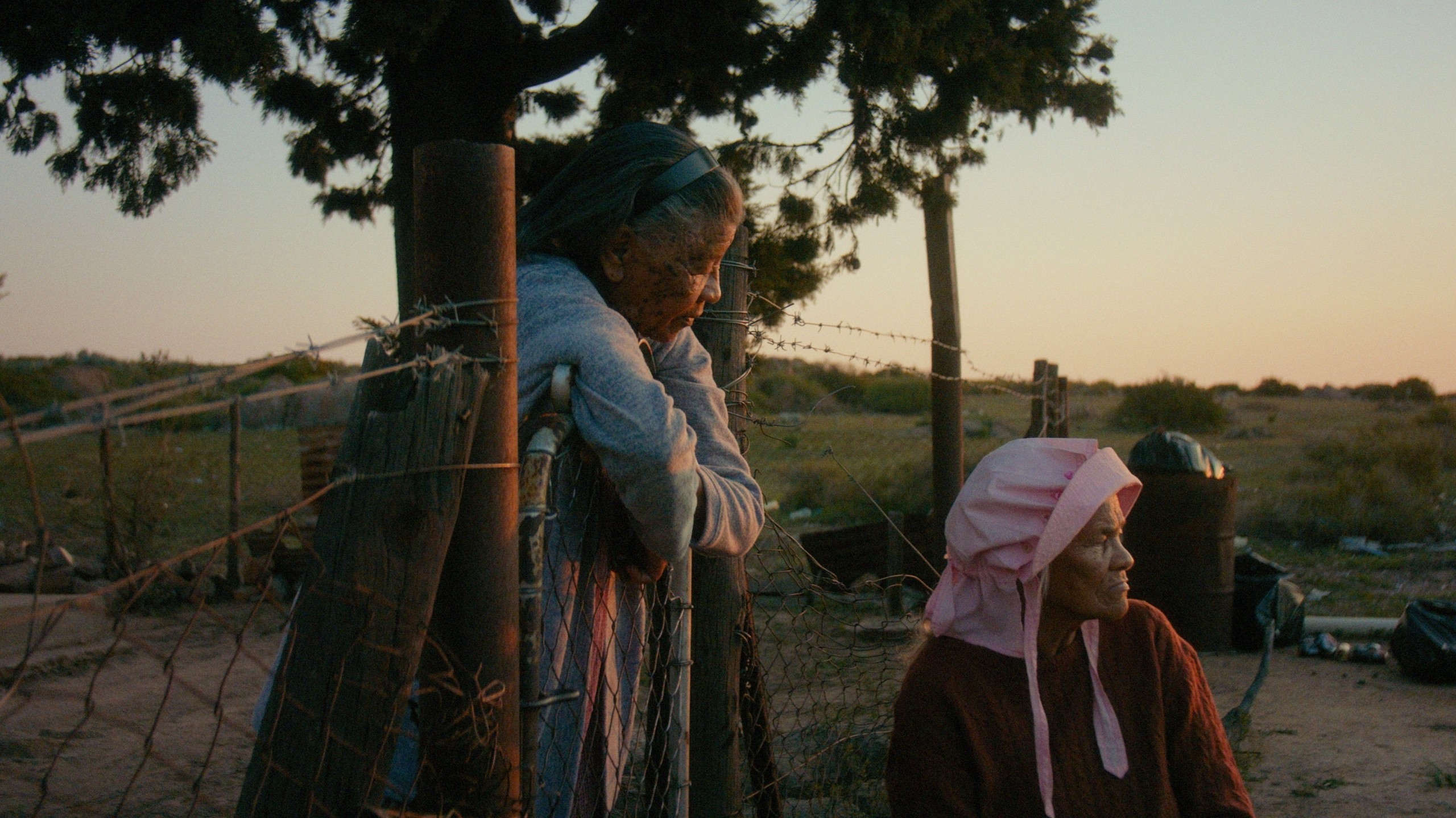 Rotterdam Film Festival: ‘Variations on a Theme’ and ‘Master’ Win Top Awards