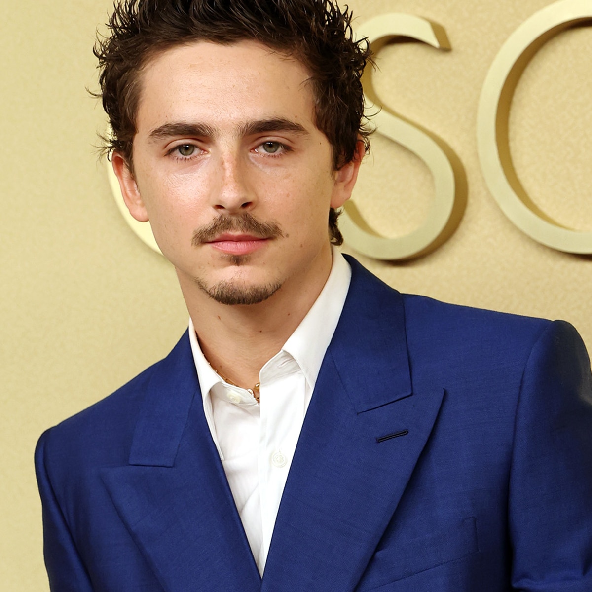 Timothée Chalamet Calls Out Actor for Questioning His Acting Ability