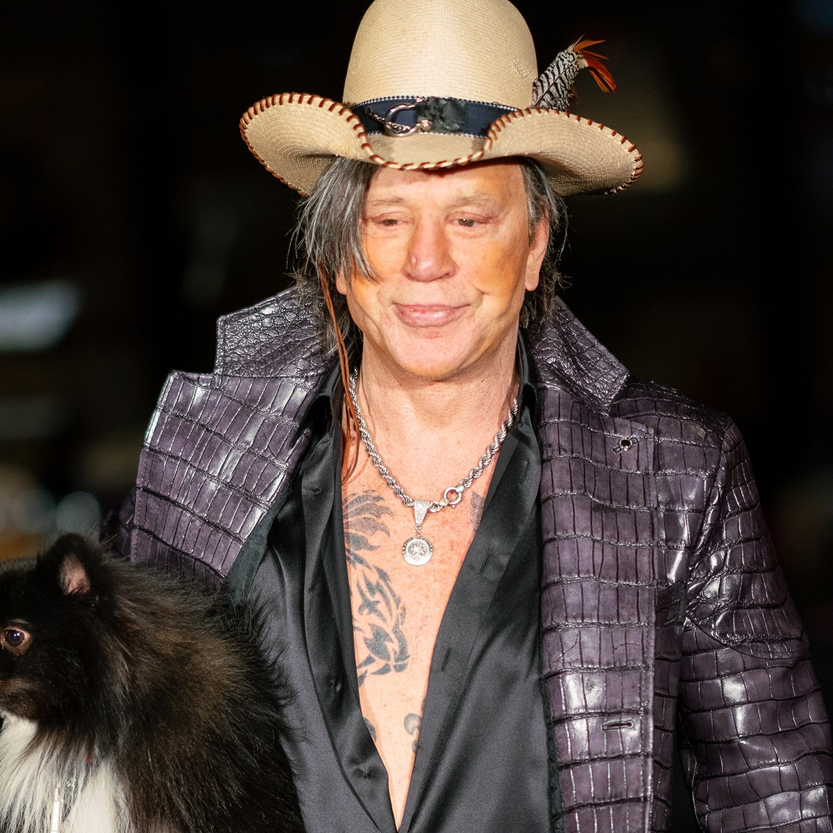 Mickey Rourke Speaks Out on Eviction After Not Paying ,000 in Rent