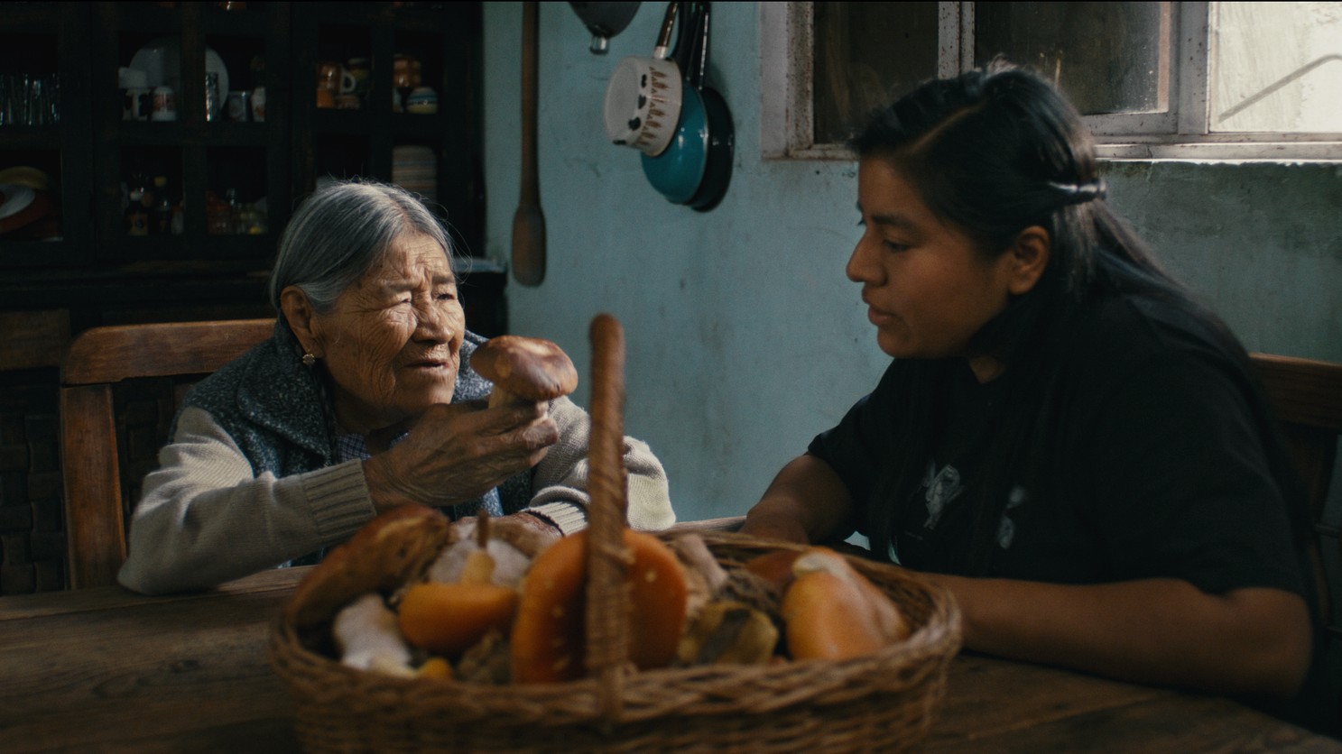 Is That the Mushrooms Talking? Trippy Sci-Fi Doc ‘Daughters of the Forest’ About Indigenous Fungi Experts Makes You Wonder (Exclusive Trailer)