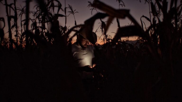 How Mexican Rodeo Film ‘Jaripeo’ Visualizes the “Queer Subconscious” and “Hidden Desire”