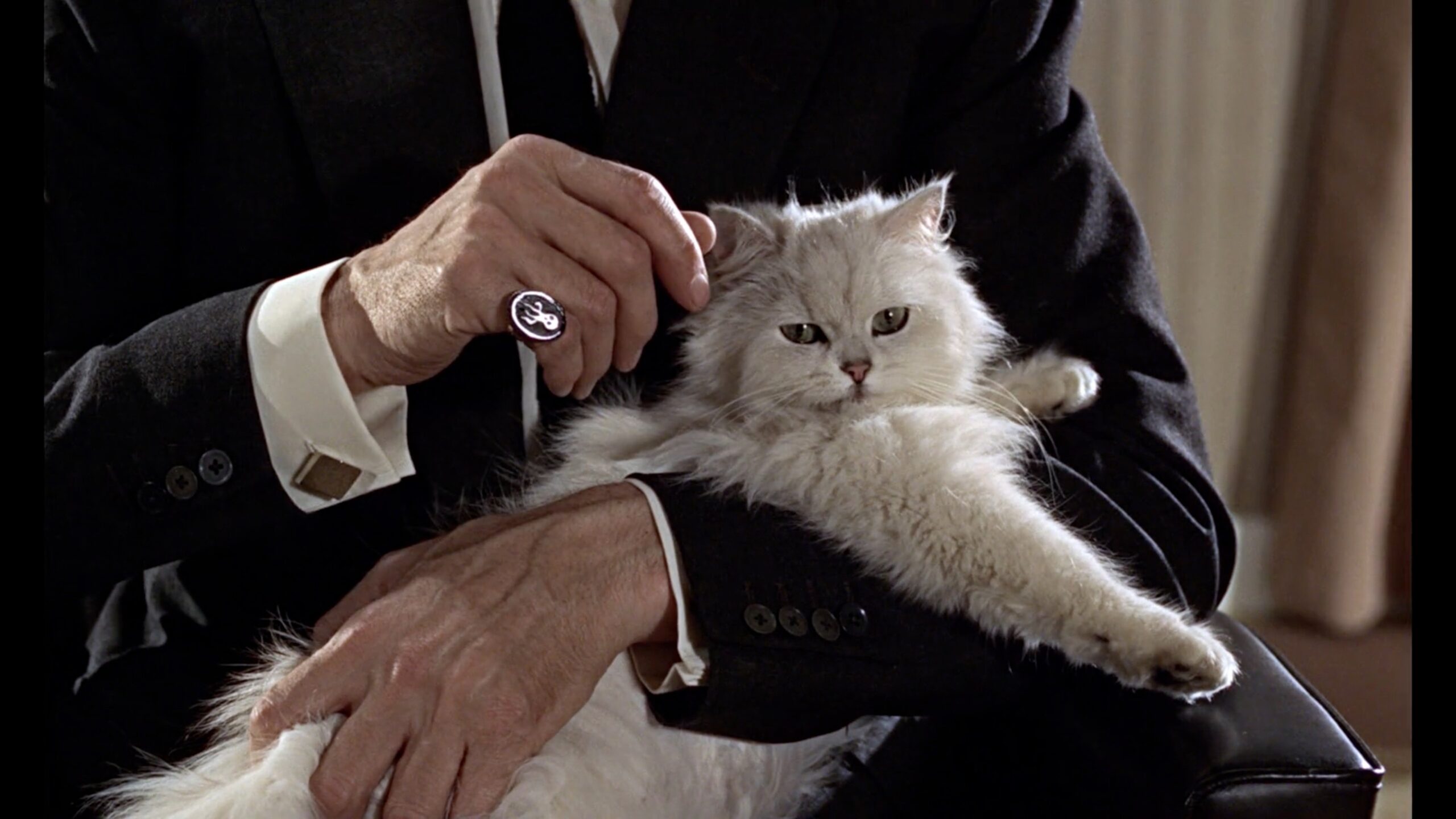 ‘Last Movies’ Director on “Remapping” the 20th Century via Celebrities’ Final Film Experiences